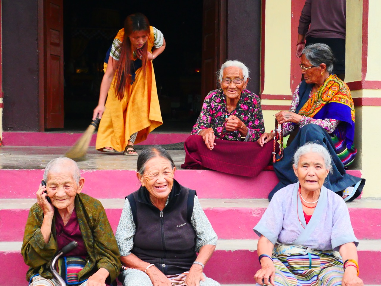 The Fogorellis Go Feral