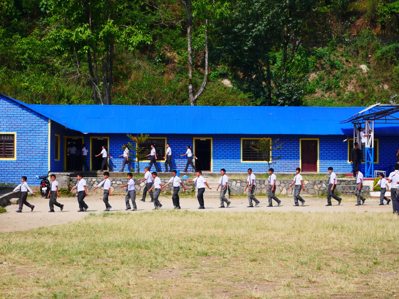 The Fogorellis Go Feral