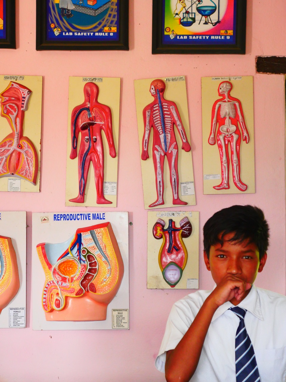 The Fogorellis Go Feral