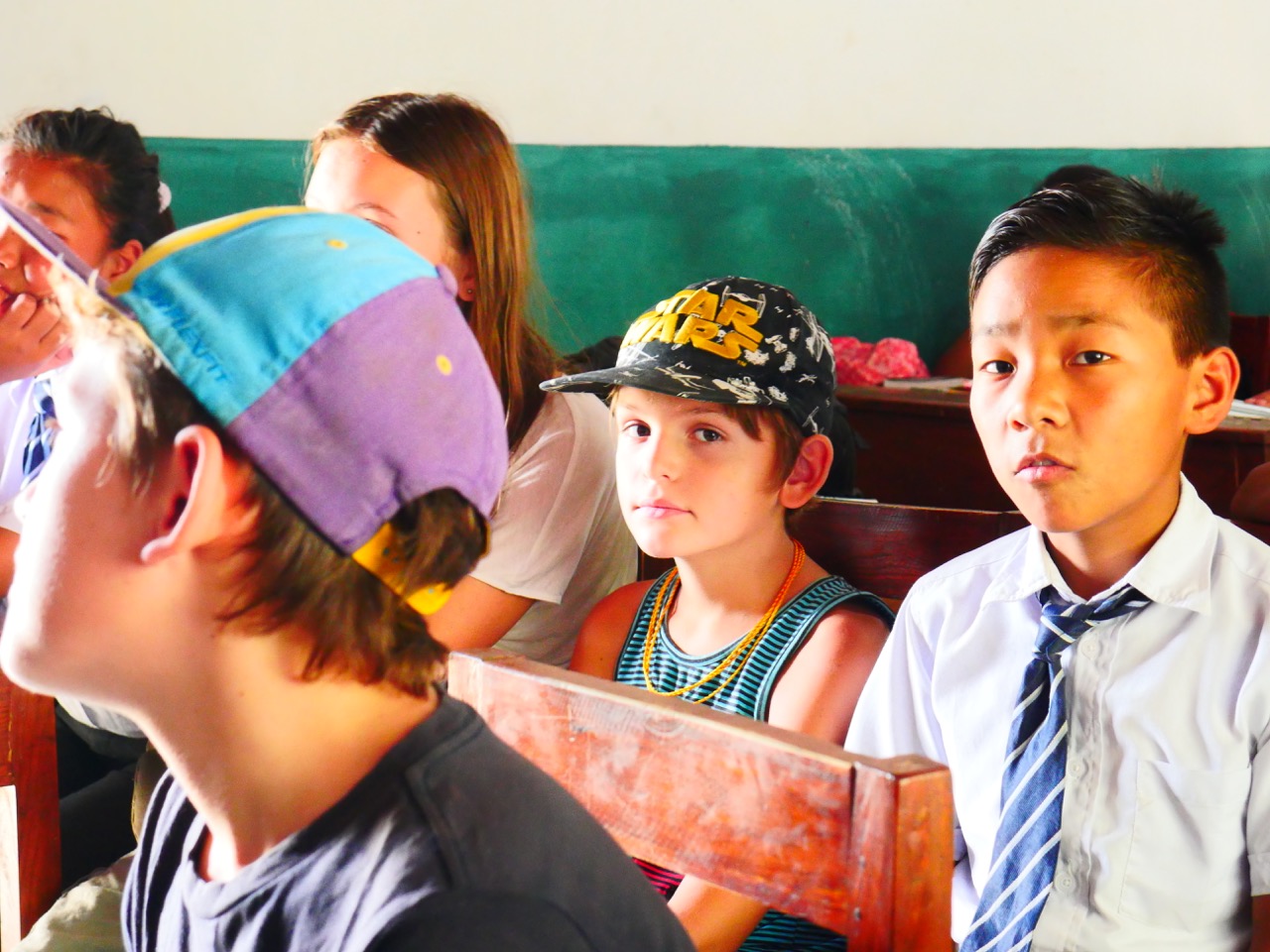 The Fogorellis Go Feral