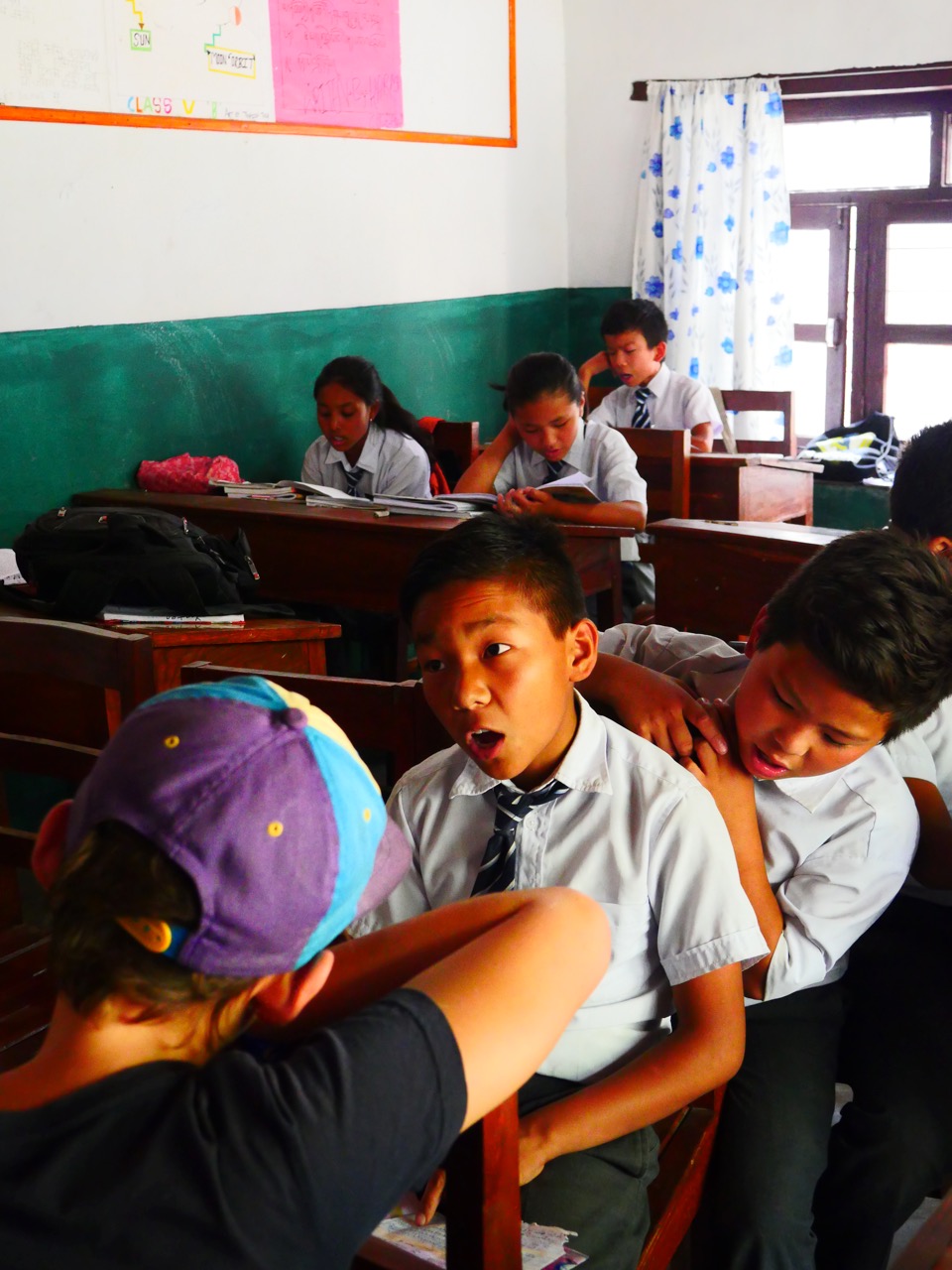 The Fogorellis Go Feral