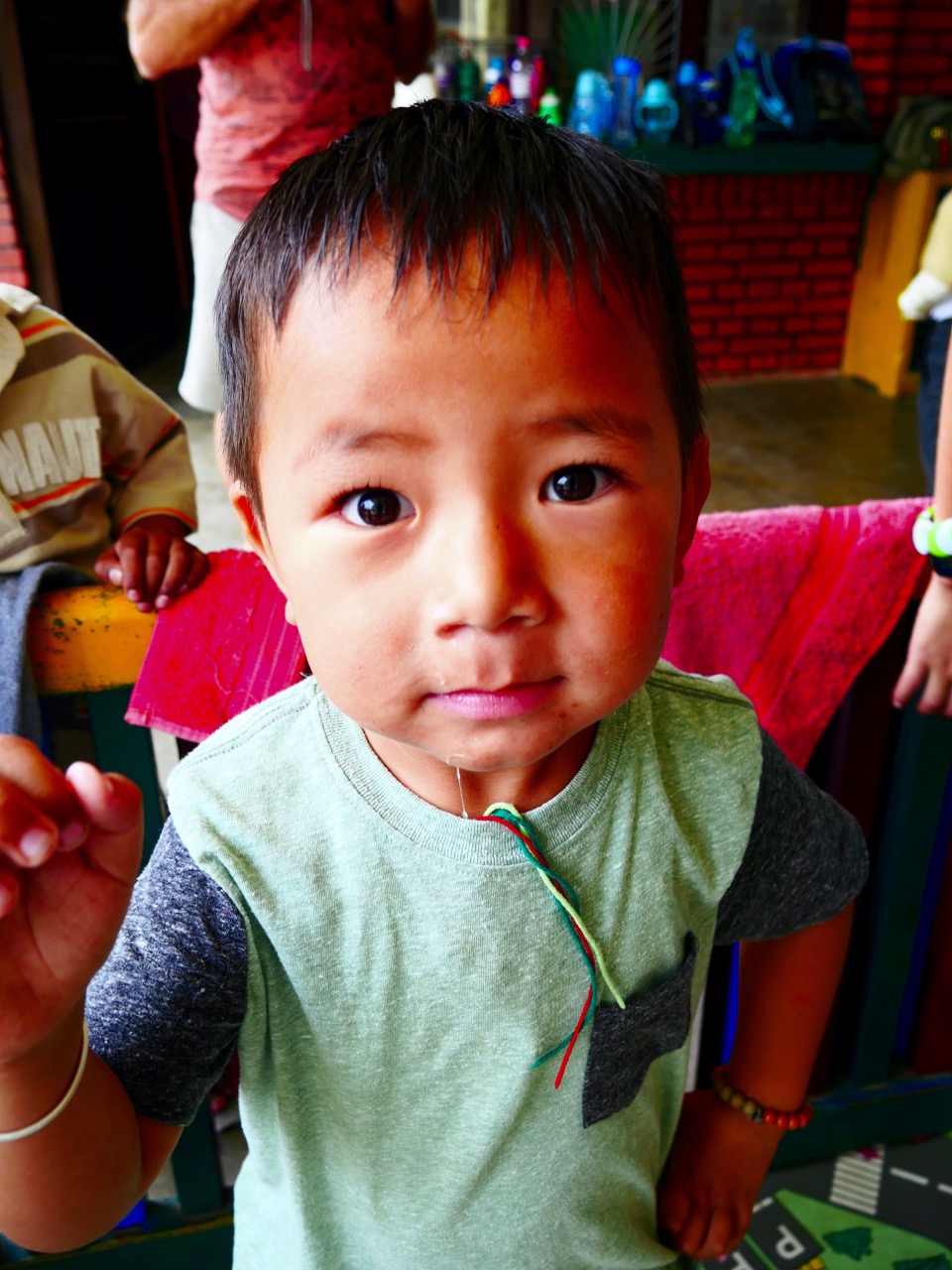 The Fogorellis Go Feral