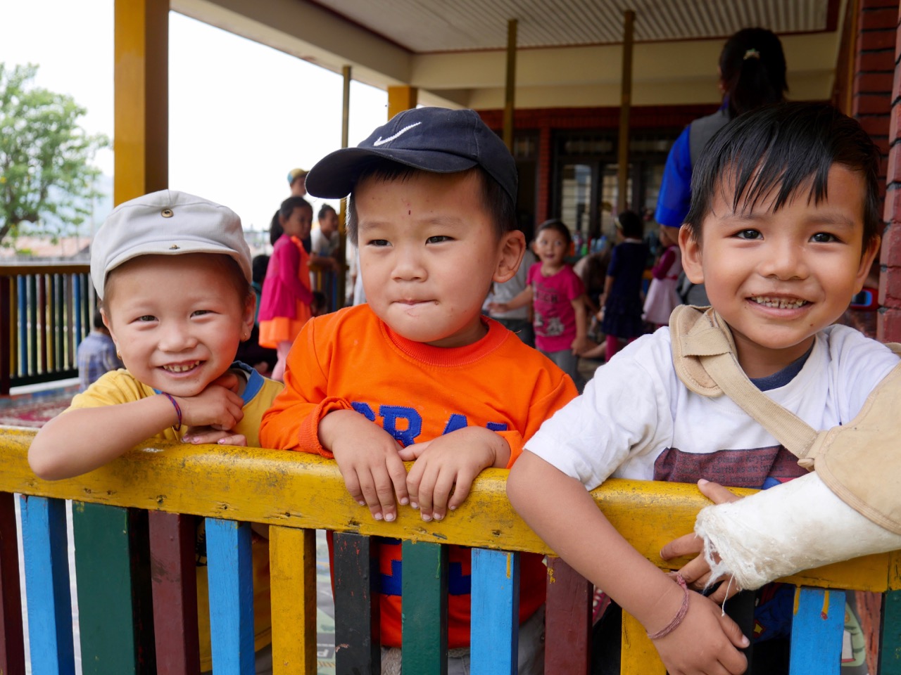 The Fogorellis Go Feral