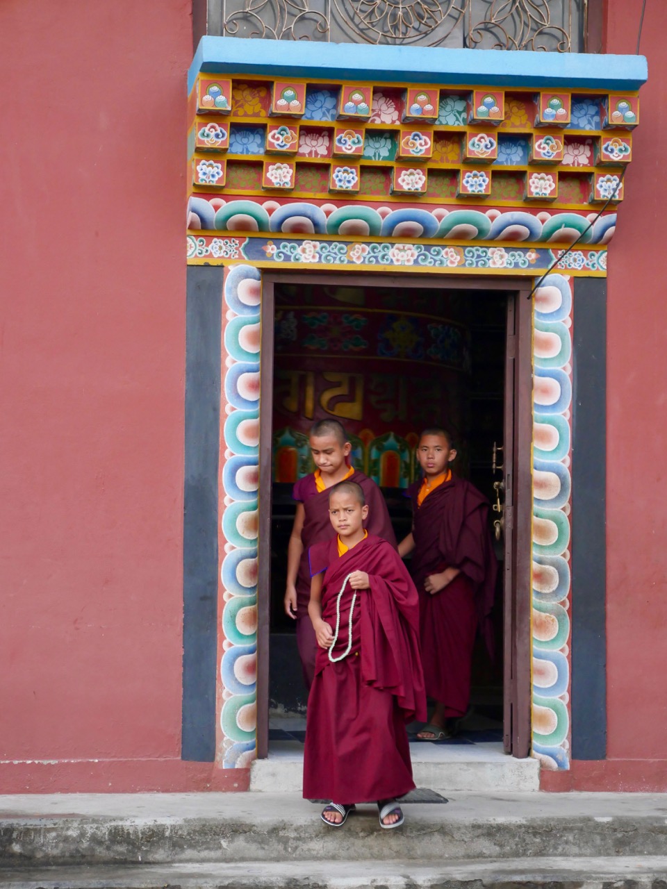 The Fogorellis Go Feral