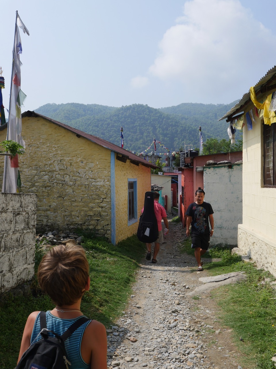 The Fogorellis Go Feral