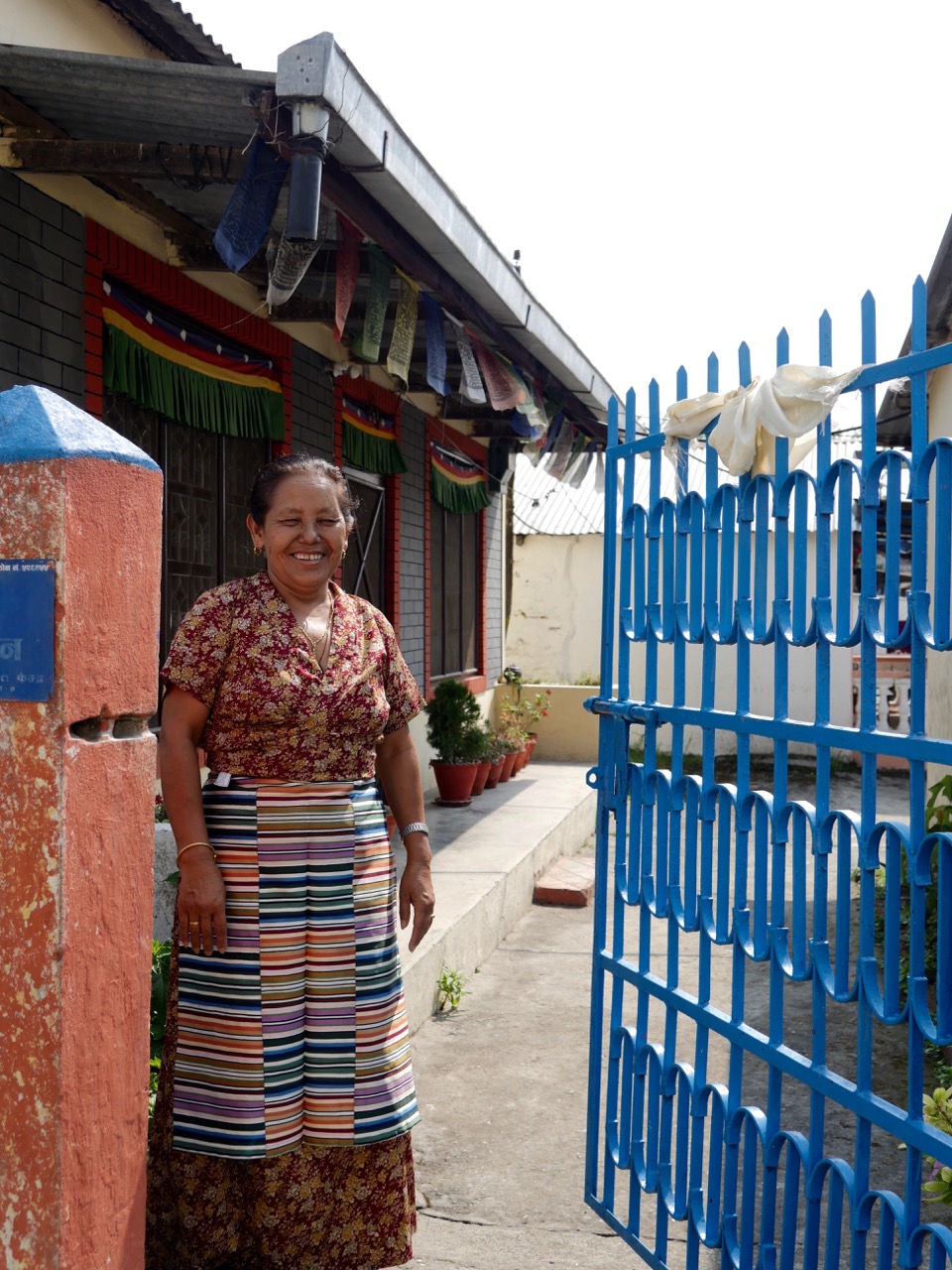 The Fogorellis Go Feral