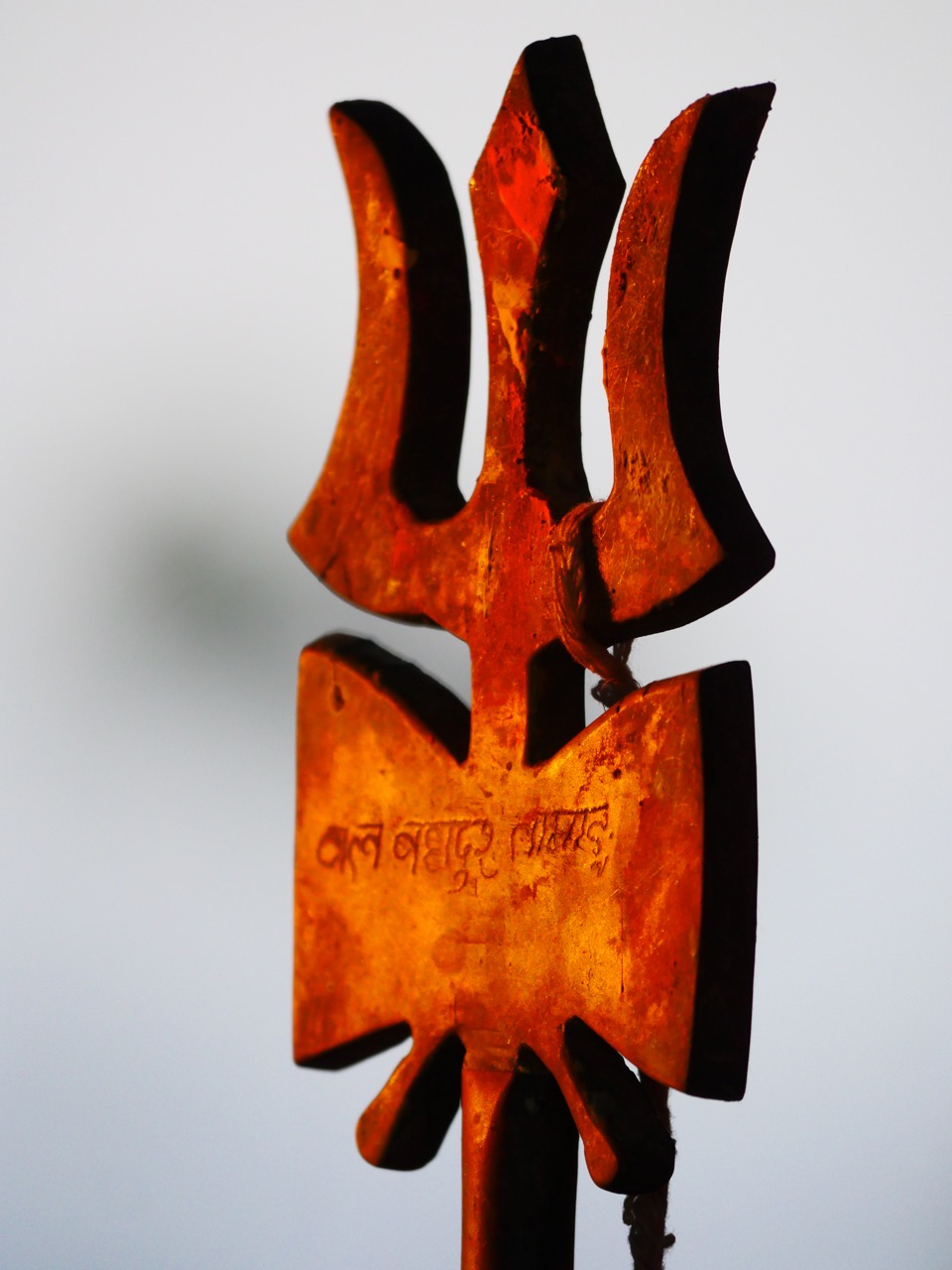 The Fogorellis Go Feral