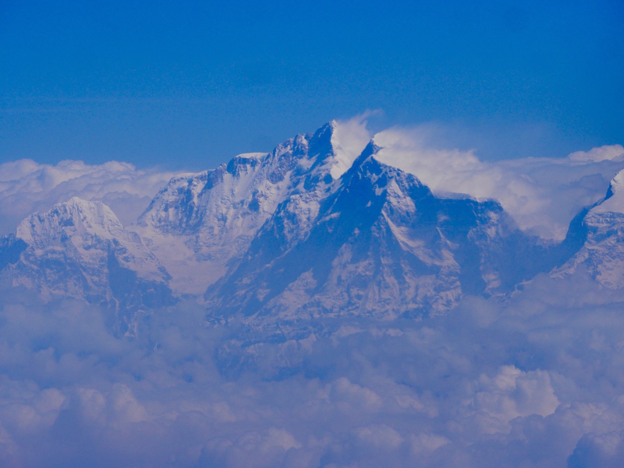 The Fogorellis Go Feral