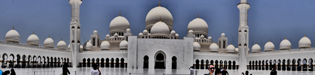 The Fogorellis Go Feral