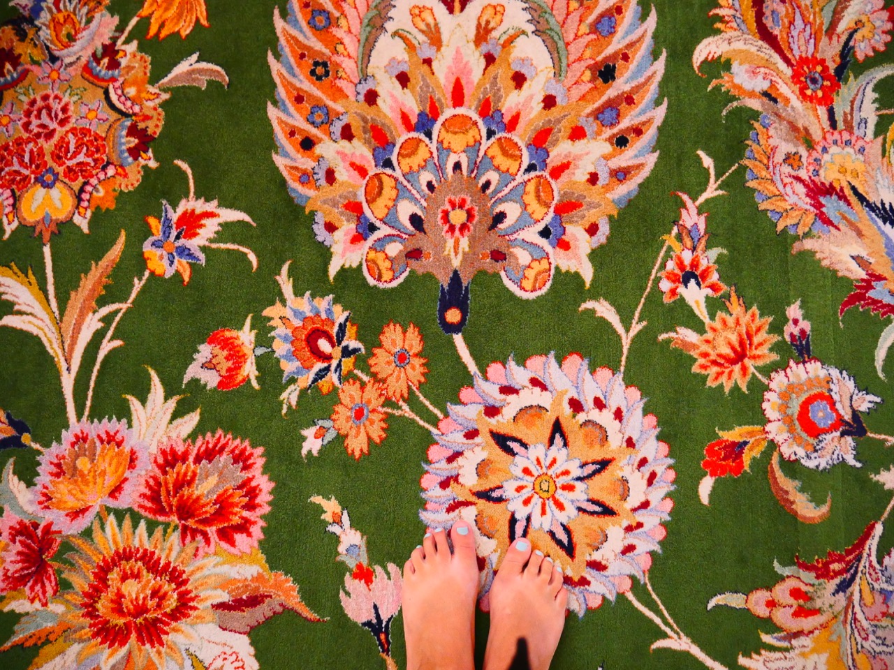 The Fogorellis Go Feral