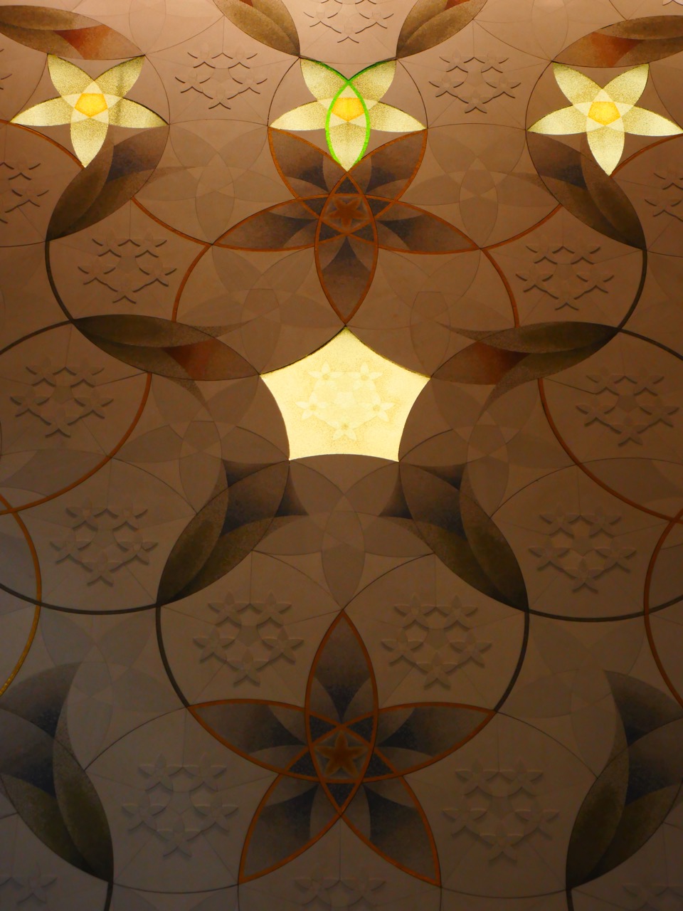 The Fogorellis Go Feral