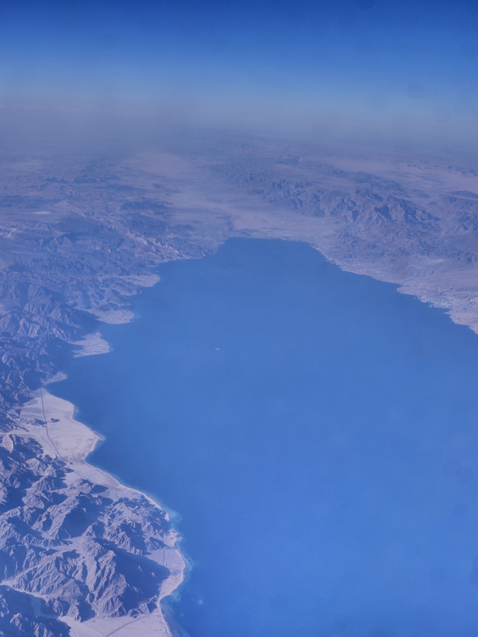 The Fogorellis Go Feral