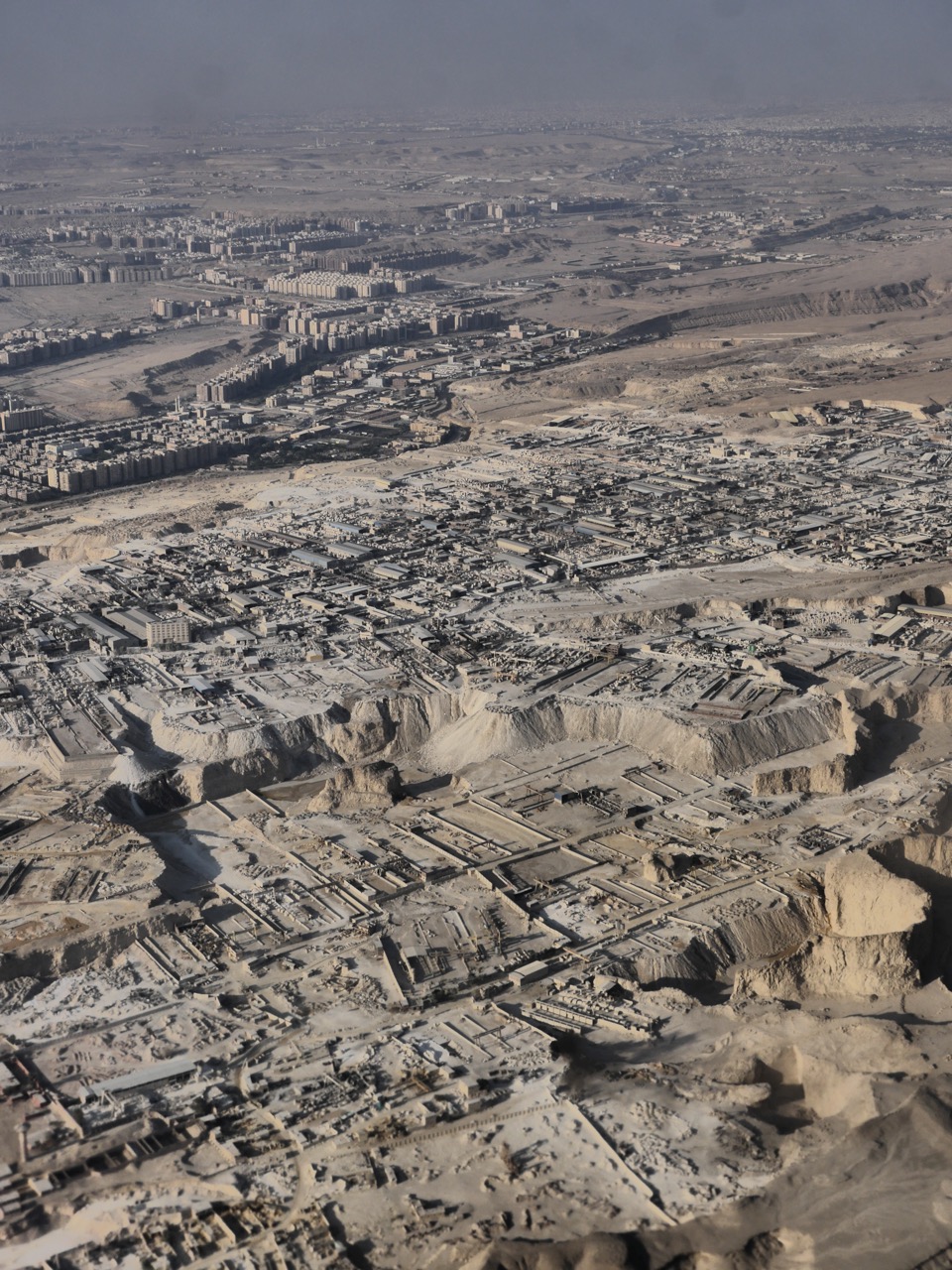 The Fogorellis Go Feral