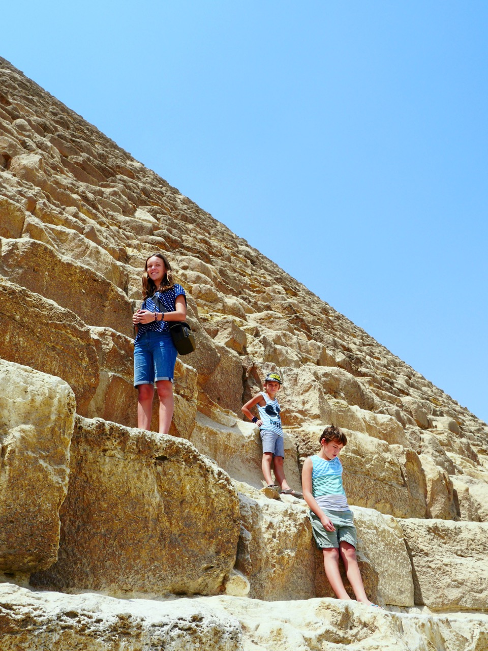 The Fogorellis Go Feral