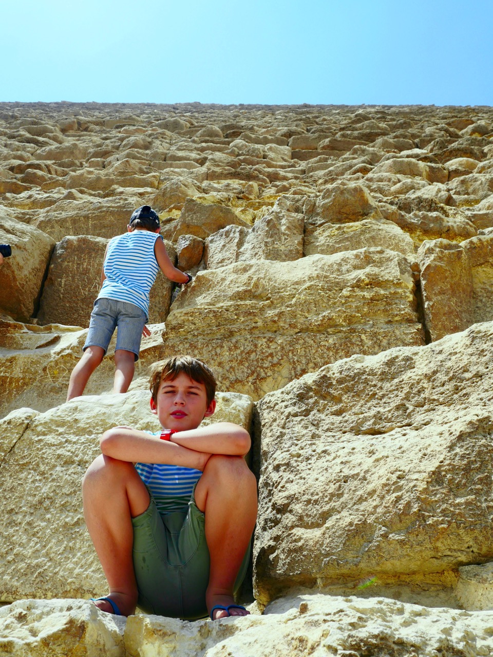 The Fogorellis Go Feral