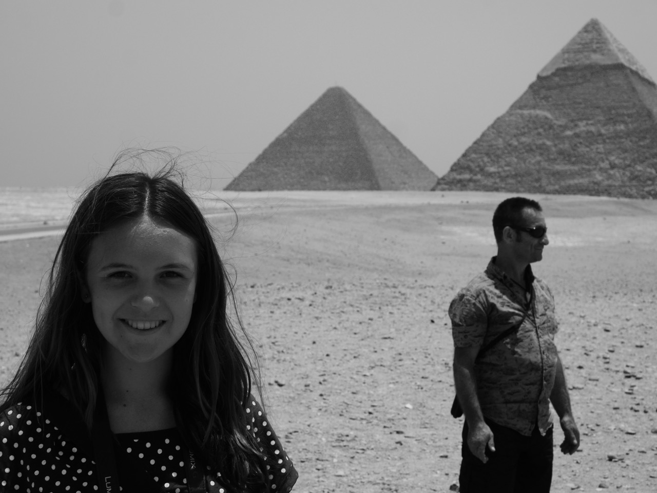 The Fogorellis Go Feral