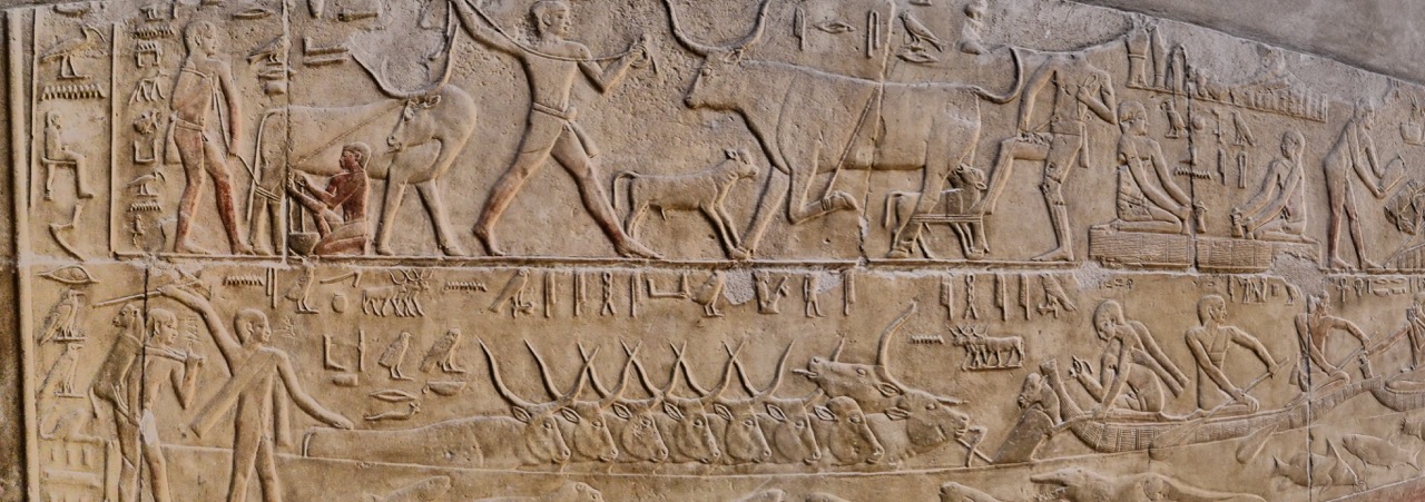 The Fogorellis Go Feral