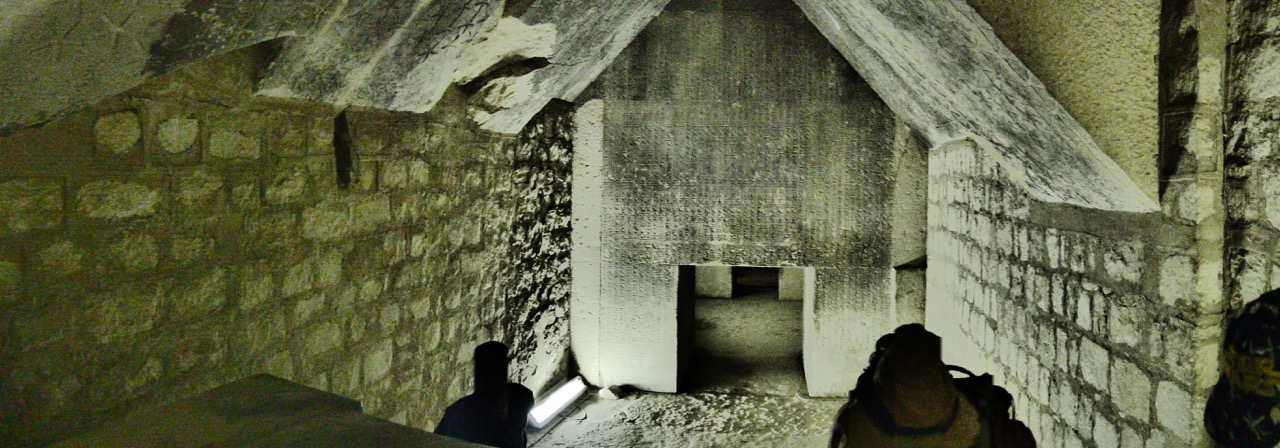 The Fogorellis Go Feral