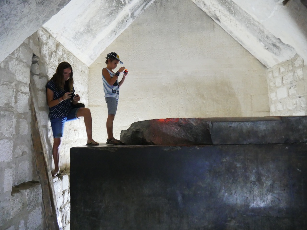 The Fogorellis Go Feral