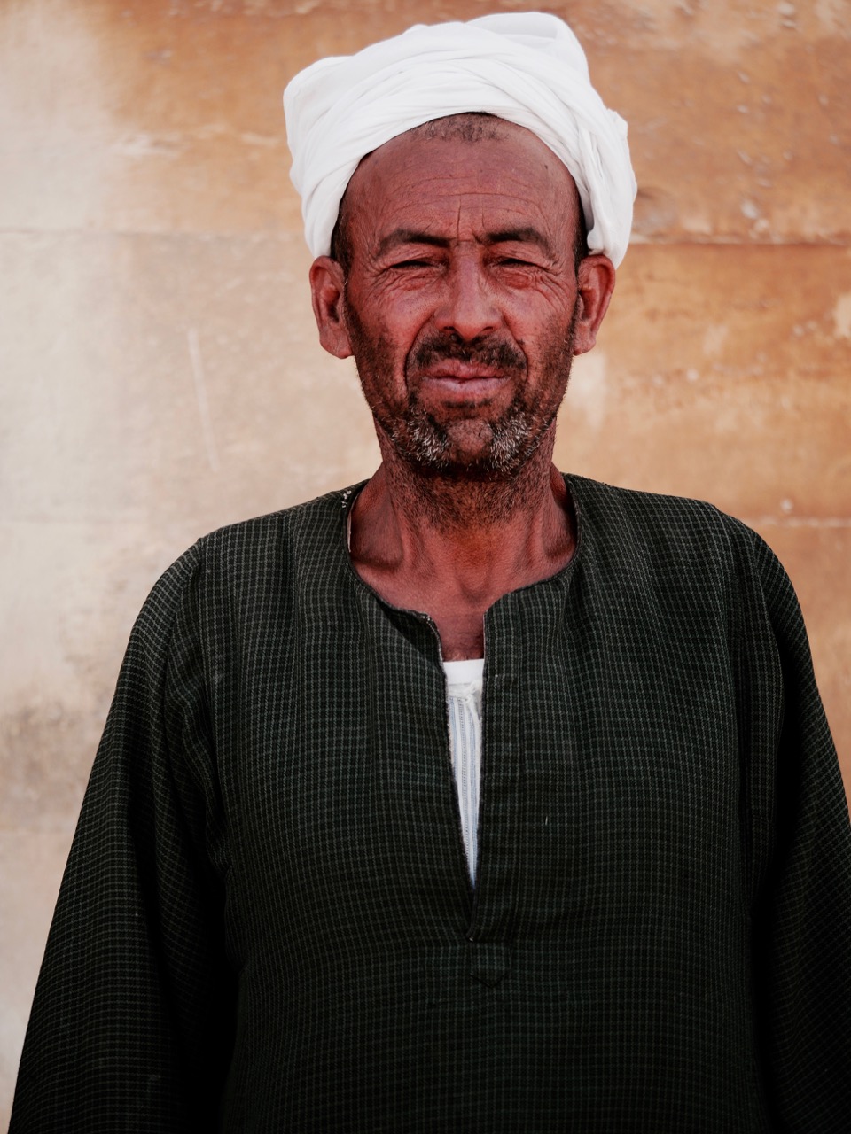 The Fogorellis Go Feral