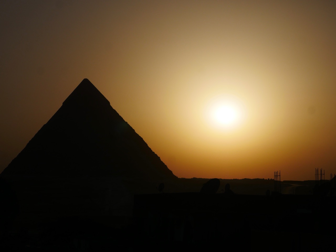 The Fogorellis Go Feral