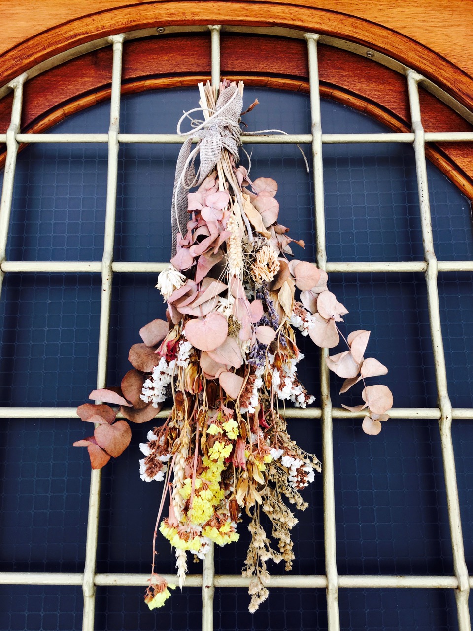 The Fogorellis Go Feral