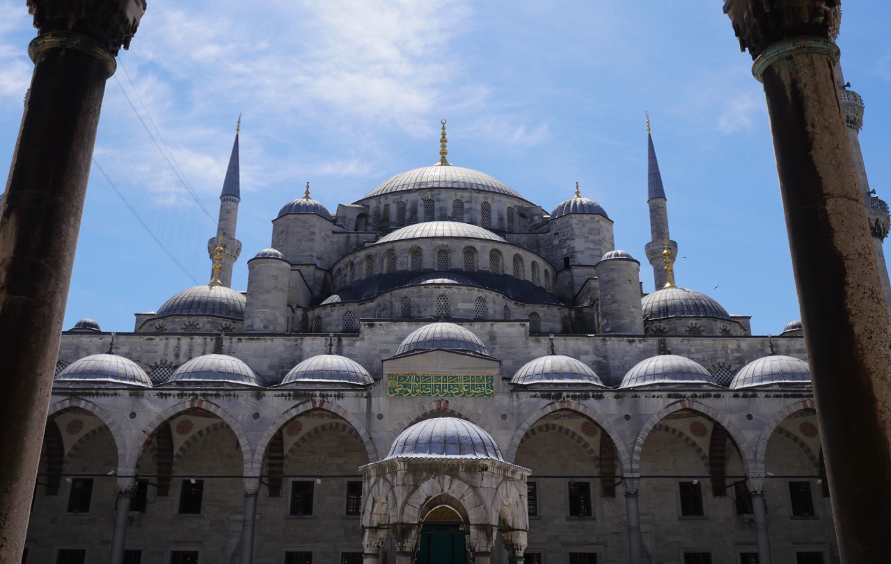 The Fogorellis Go Feral