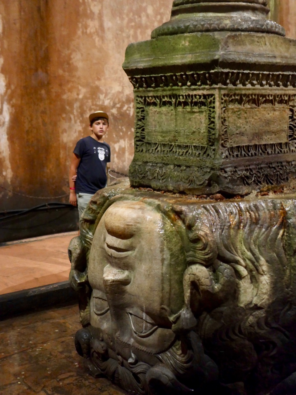 The Fogorellis Go Feral