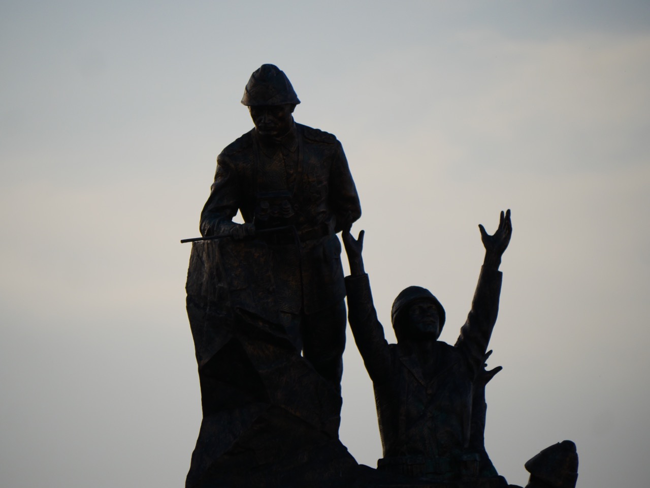 The Fogorellis Go Feral