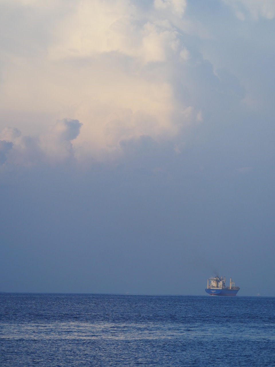 The Fogorellis Go Feral