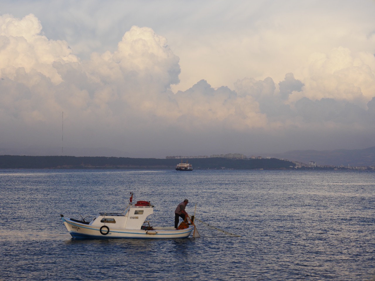 The Fogorellis Go Feral