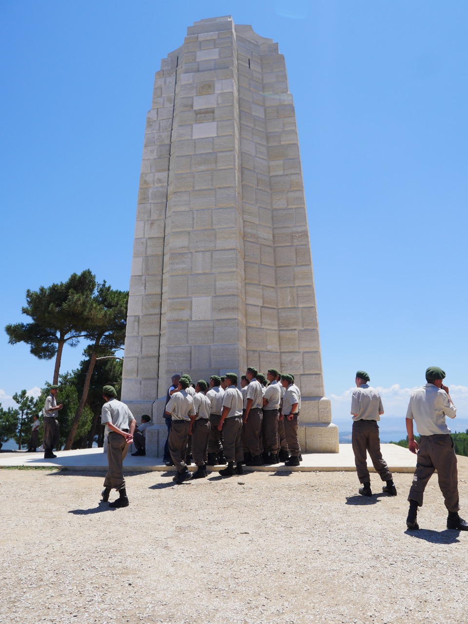 The Fogorellis Go Feral