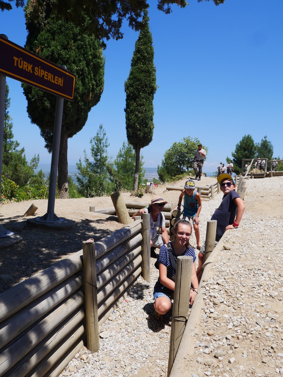 The Fogorellis Go Feral