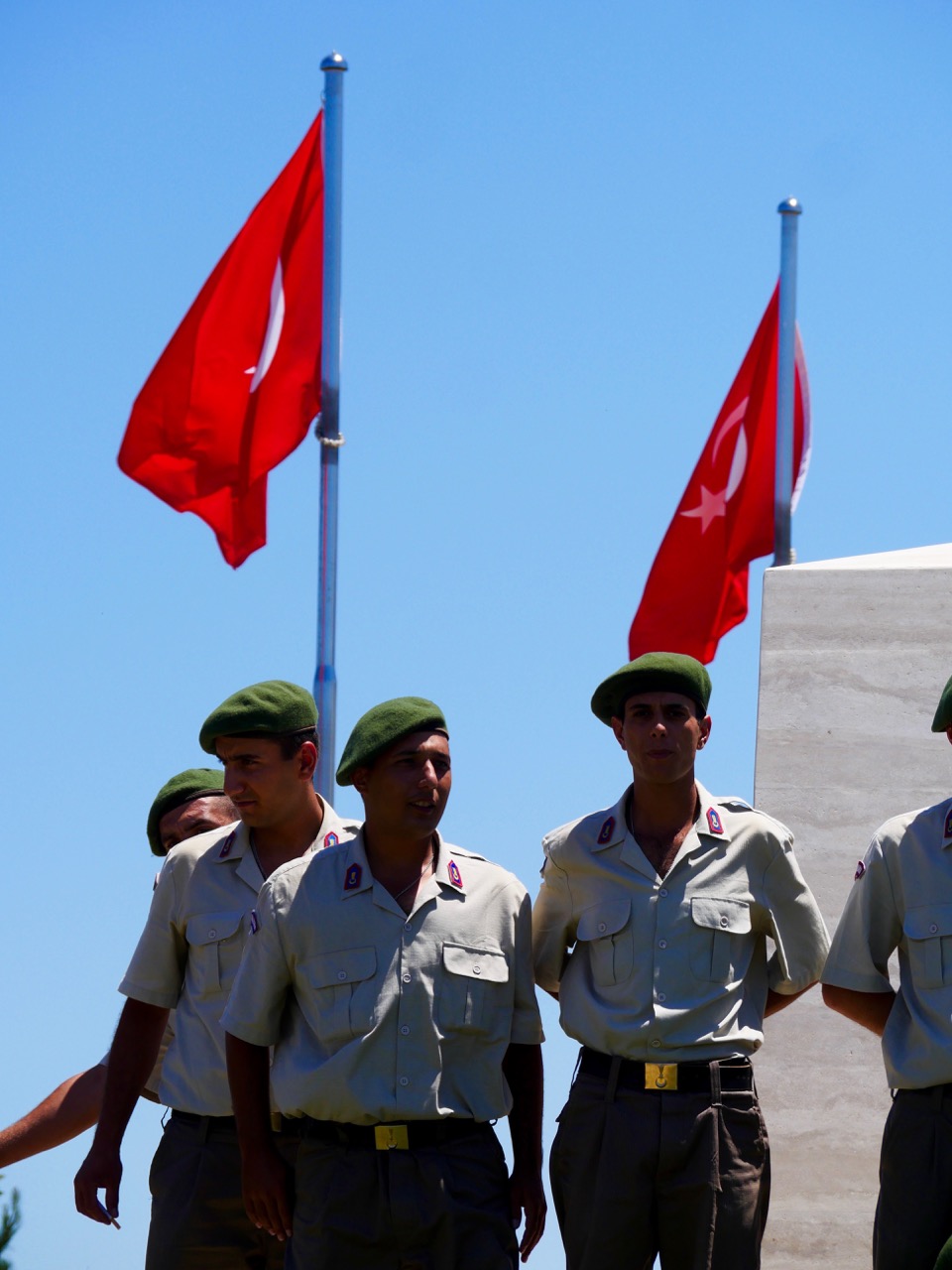 The Fogorellis Go Feral