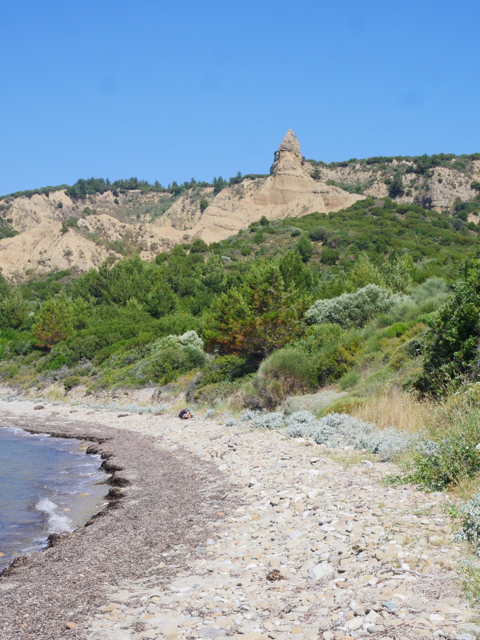 The Fogorellis Go Feral