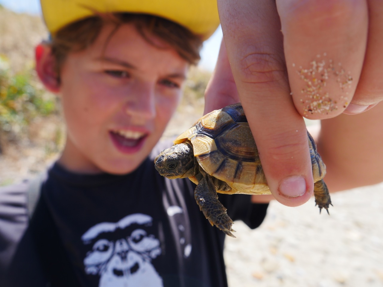 The Fogorellis Go Feral