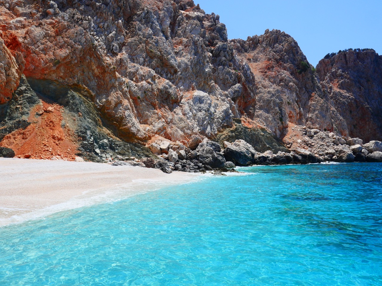 The Fogorellis Go Feral