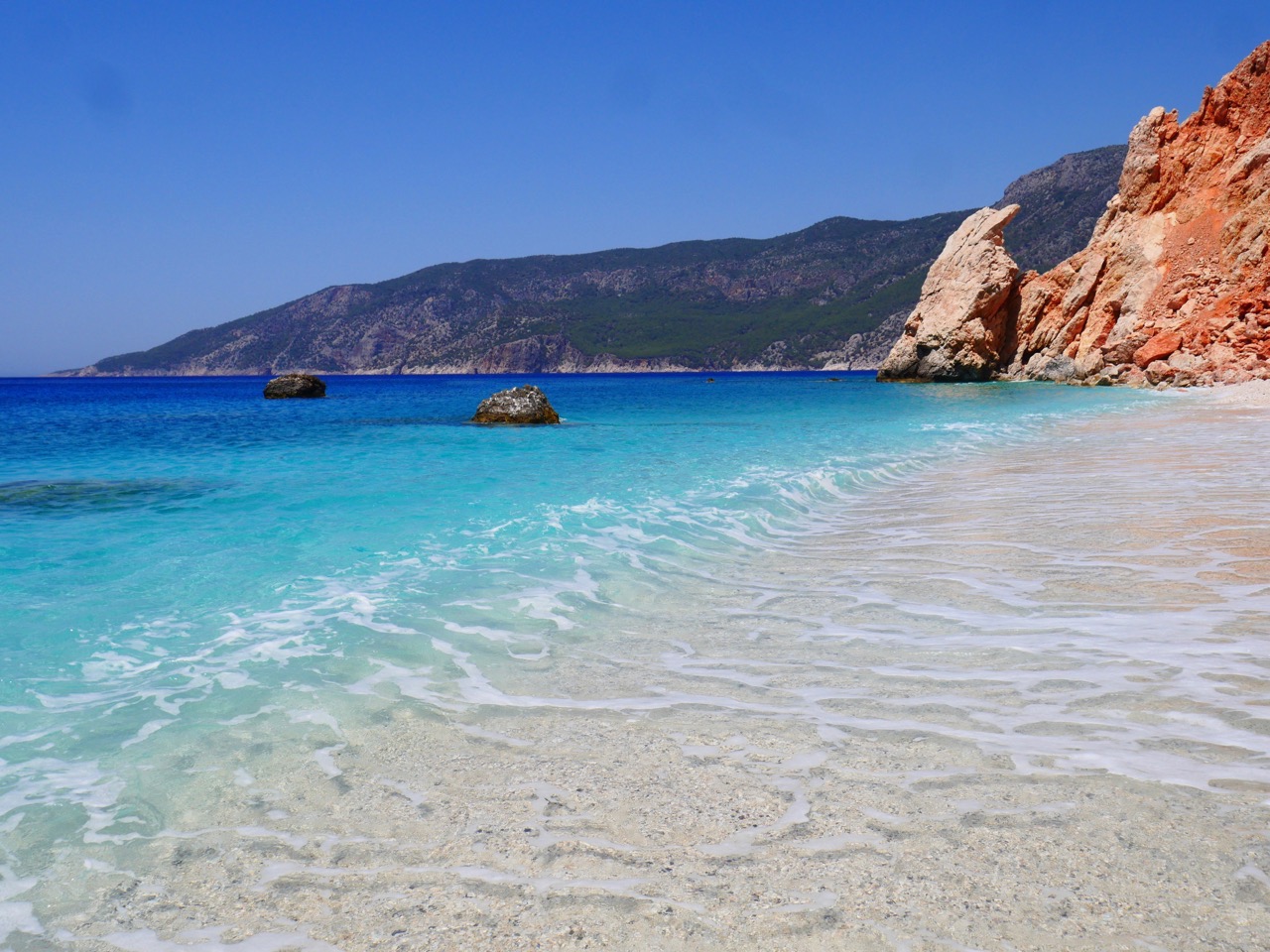 The Fogorellis Go Feral