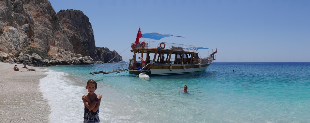 The Fogorellis Go Feral