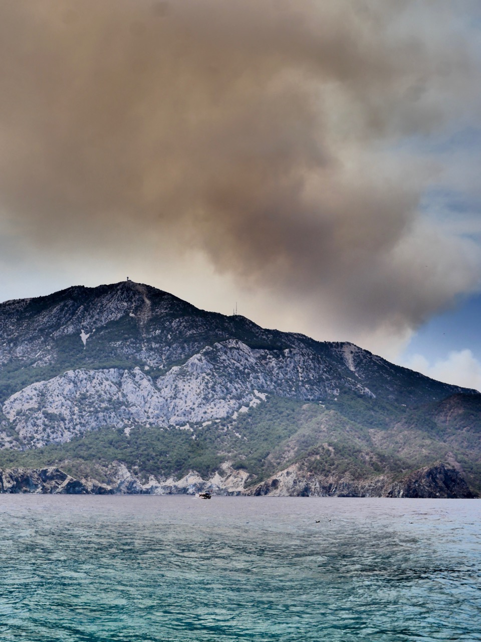 The Fogorellis Go Feral