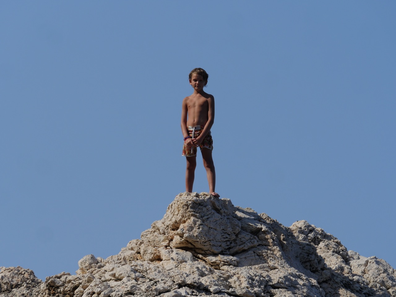 The Fogorellis Go Feral