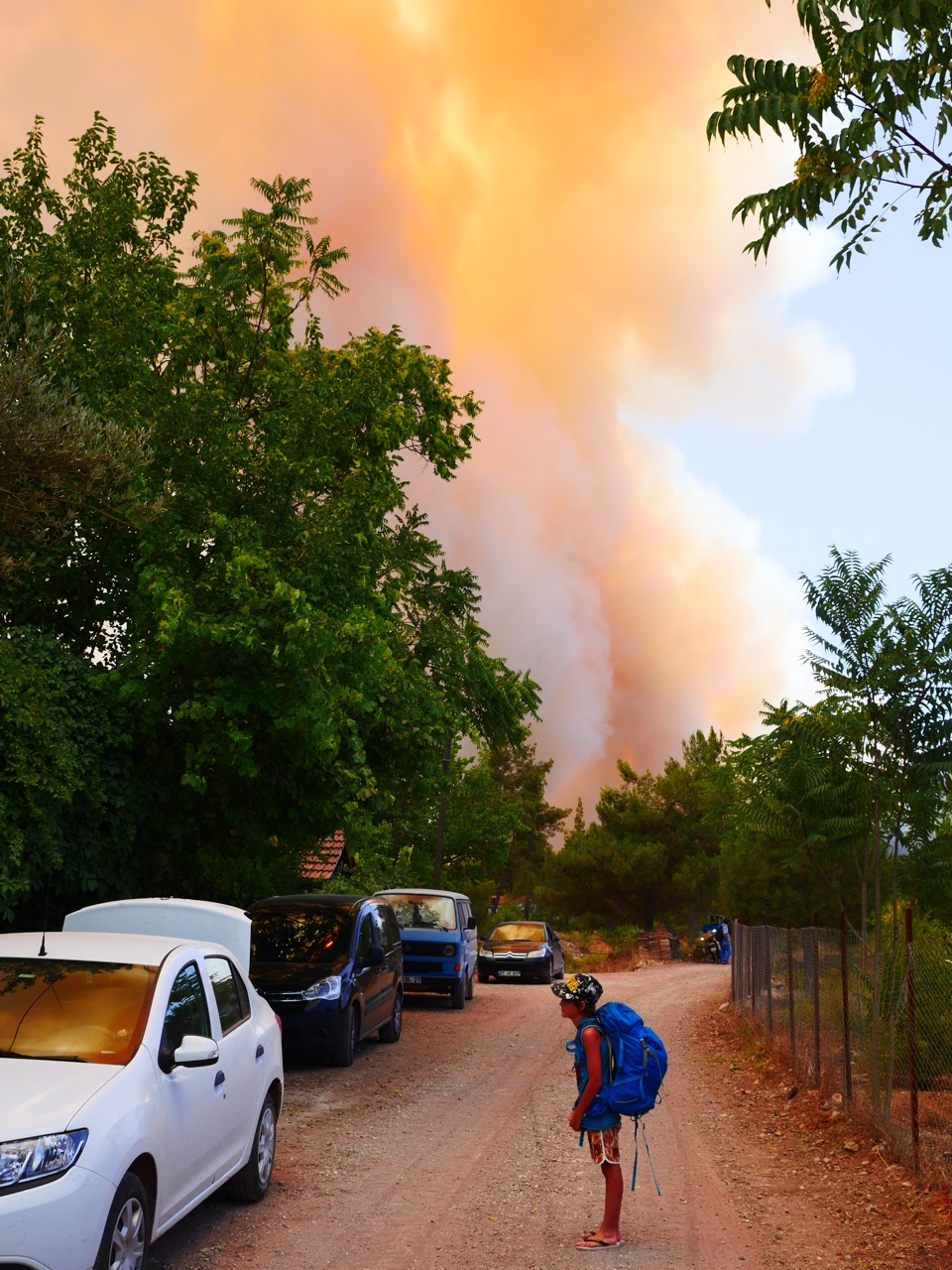 The Fogorellis Go Feral