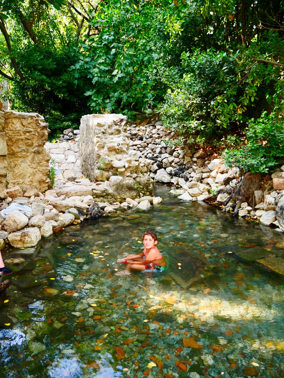 The Fogorellis Go Feral