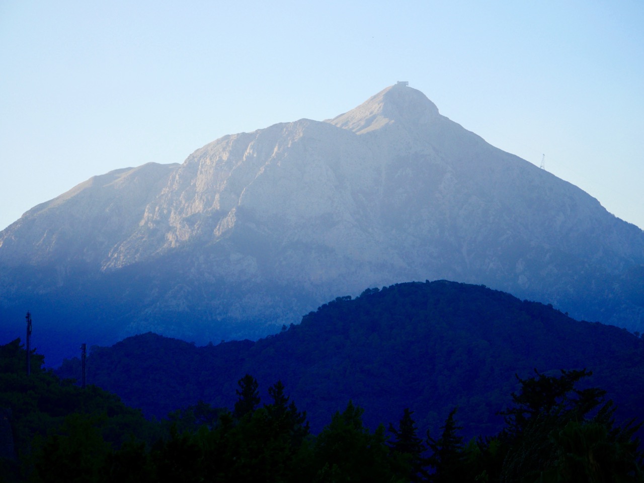 The Fogorellis Go Feral