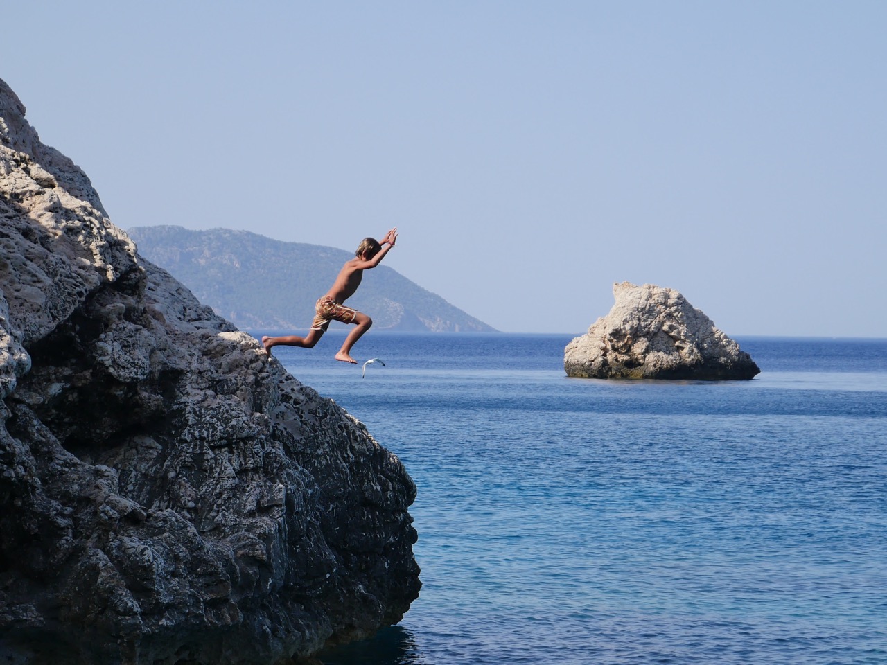 The Fogorellis Go Feral