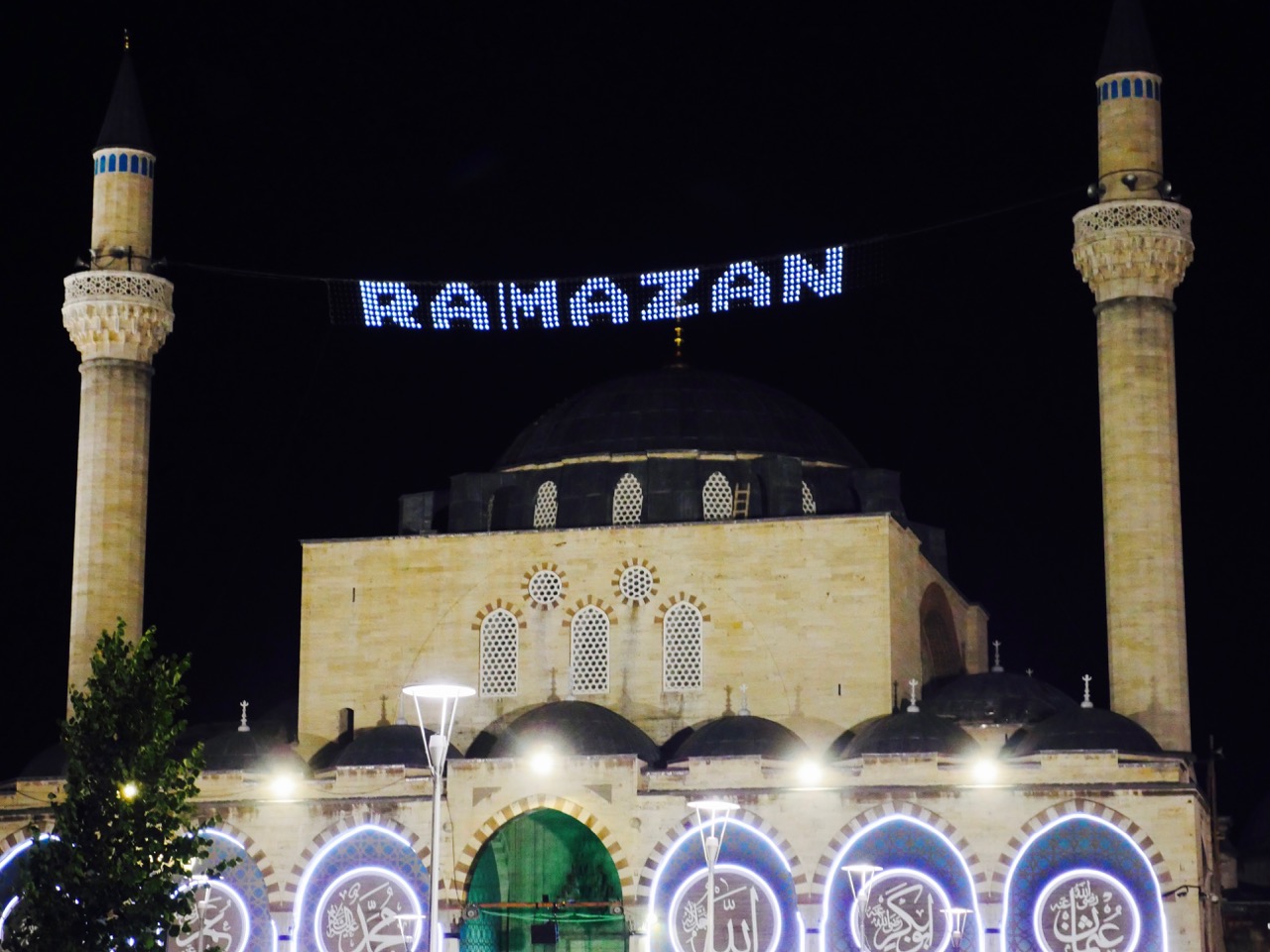 The Fogorellis Go Feral