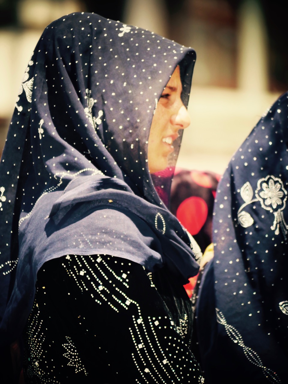 The Fogorellis Go Feral