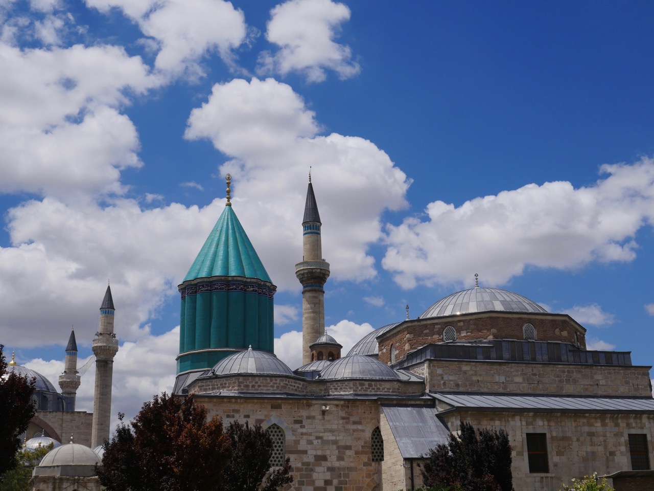 The Fogorellis Go Feral