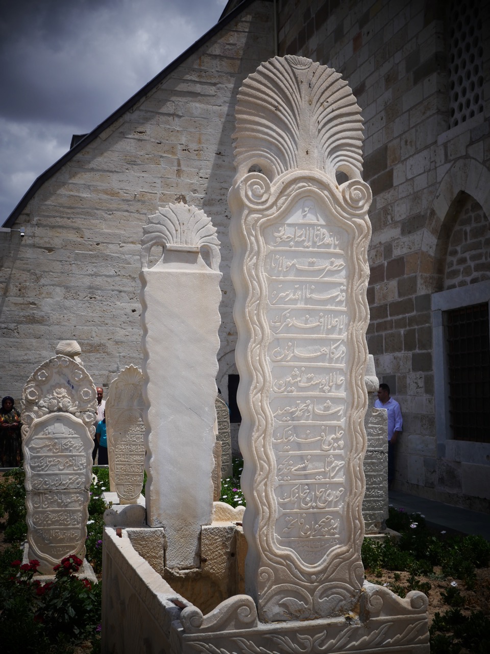 The Fogorellis Go Feral