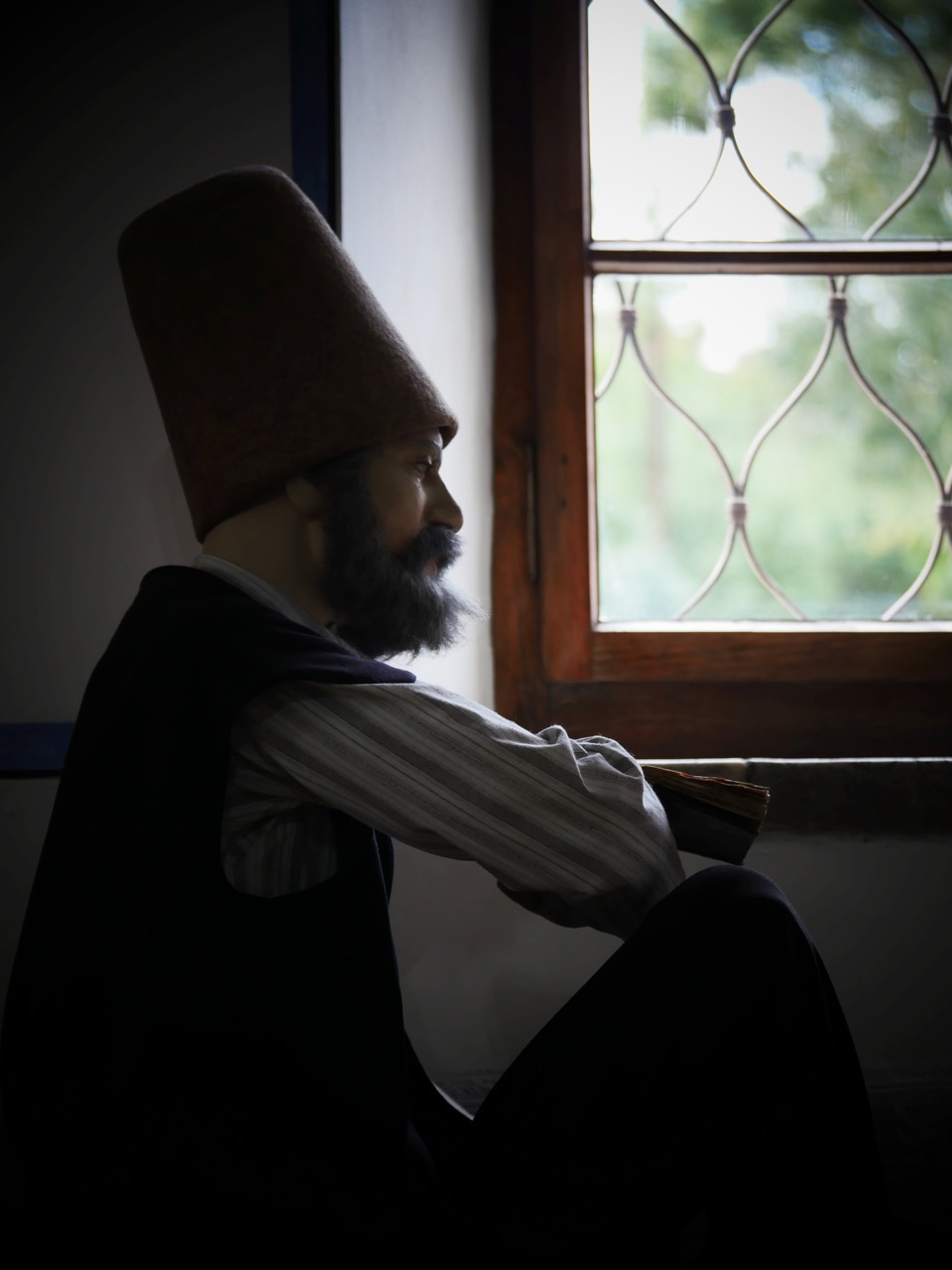 The Fogorellis Go Feral